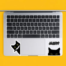STK-107 -Crazy Cat Lady Sticker Collection